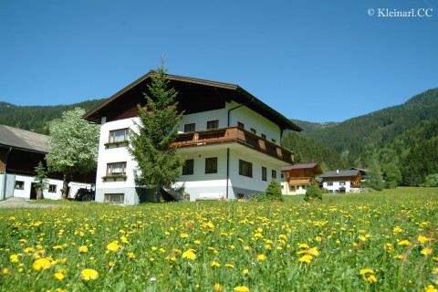 Foto Sommerfoto vom Kreuzsalhof in Kleinarl